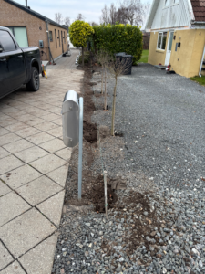 Indkørsel og haveområde før opsætning af hegn langs skel